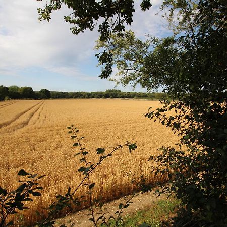 Cowslip Barn Annexe, Countryside Stay Near Chichester Buitenkant foto